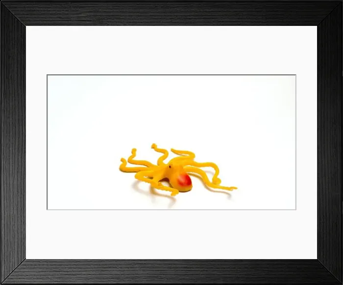 Framed Print : Children's Toy In The Form Of Yellow Octopus Animal With Isolated White Background And Photographed Using The Rule Of Framed Print : Children's Toy In The Form Of Yellow Octopus Animal With Isolated White Background And Photographed Using The Rule Of