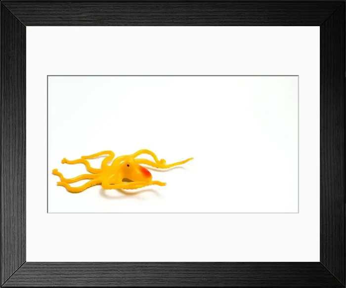 Framed Print : A Yellow Octopus Shaped Children's Toy With Isolated White Background And With Composition Leaving Space On The Right Framed Print : A Yellow Octopus Shaped Children's Toy With Isolated White Background And With Composition Leaving Space On The Right