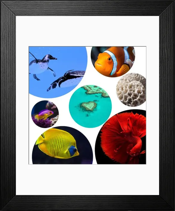 Framed Print : collage of images of the water world Framed Print : collage of images of the water world