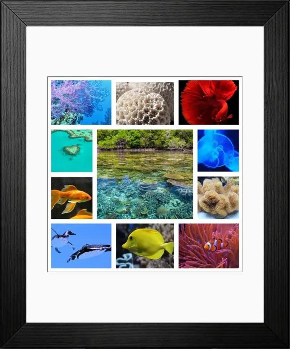 Framed Print : collage of images of the water world Framed Print : collage of images of the water world