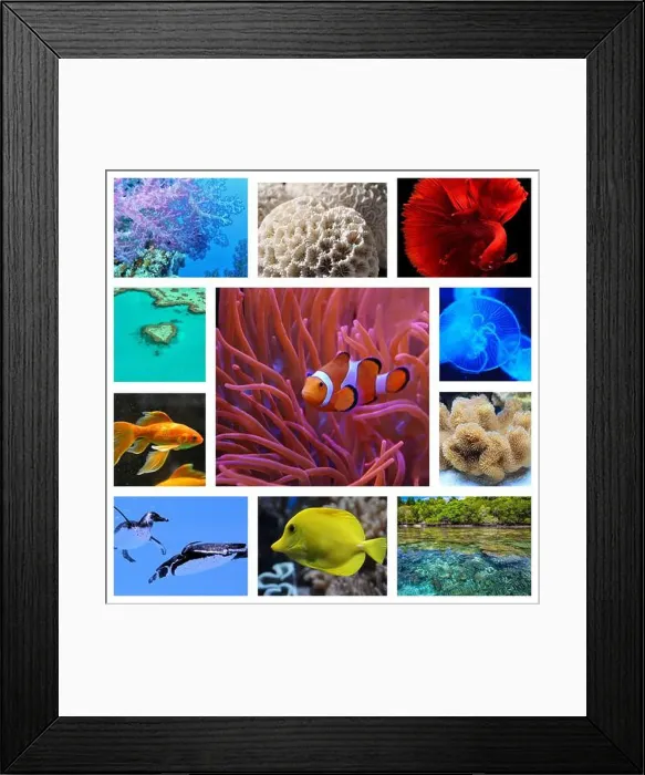Framed Print : collage of images of the water world Framed Print : collage of images of the water world