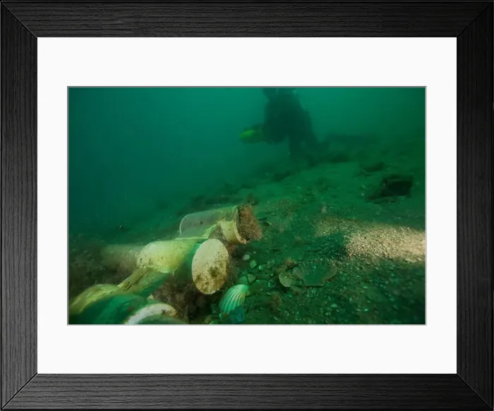 Framed Print : Marine Life of Port Philip bay, Australia