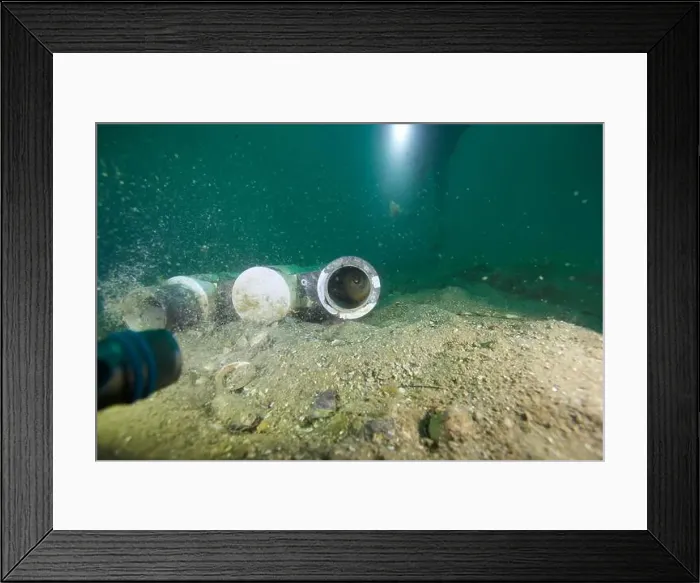 Framed Print : Marine Life of Port Philip bay, Australia Framed Print : Marine Life of Port Philip bay, Australia