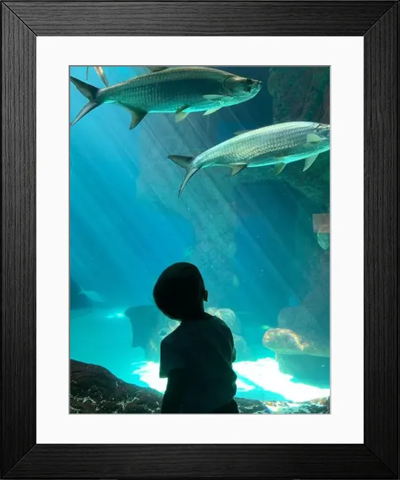Framed Print : There is beauty in wonder. Oh to be a child and discover the world again Framed Print : There is beauty in wonder. Oh to be a child and discover the world again
