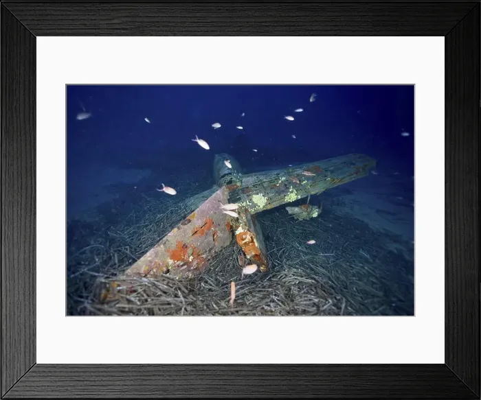 Framed Print : Underwater image of a rusty aircraft wreck Framed Print : Underwater image of a rusty aircraft wreck