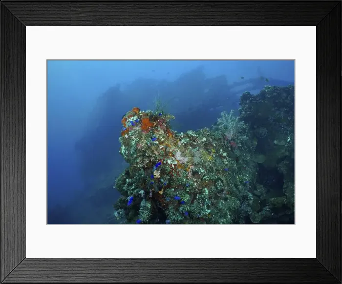 Framed Print : A shipwreck overgrown with coral Framed Print : A shipwreck overgrown with coral