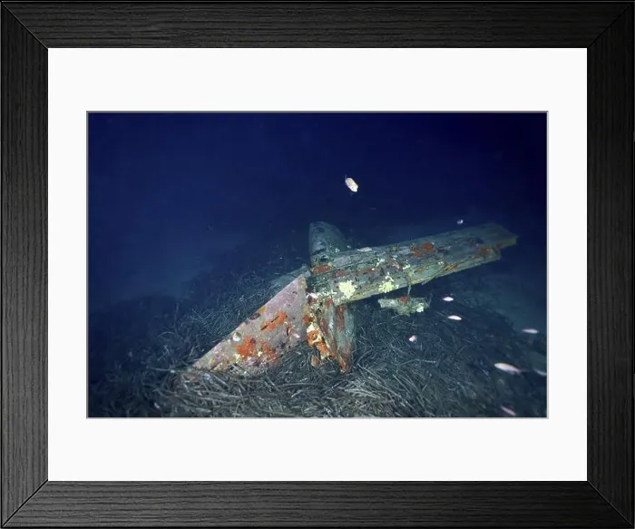 Framed Print : Rusty aircraft wreck under water with fish and seaweed Framed Print : Rusty aircraft wreck under water with fish and seaweed