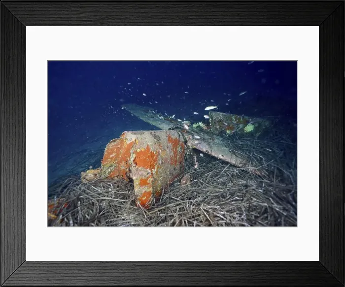 Framed Print : Rusty aircraft wreck under water with fish swimming around and sea grass Framed Print : Rusty aircraft wreck under water with fish swimming around and sea grass