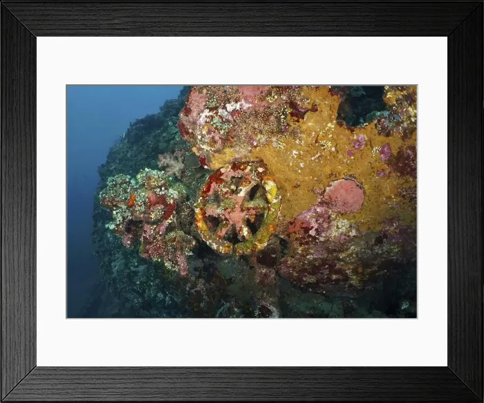 Framed Print : A part of a shipwreck with rust and coral that tells a past story underwater