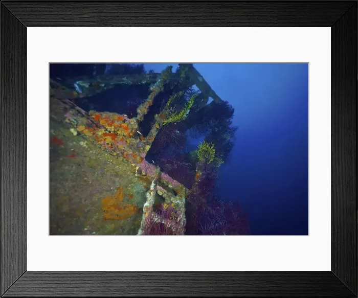 Framed Print : A shipwreck covered with colourful corals Framed Print : A shipwreck covered with colourful corals