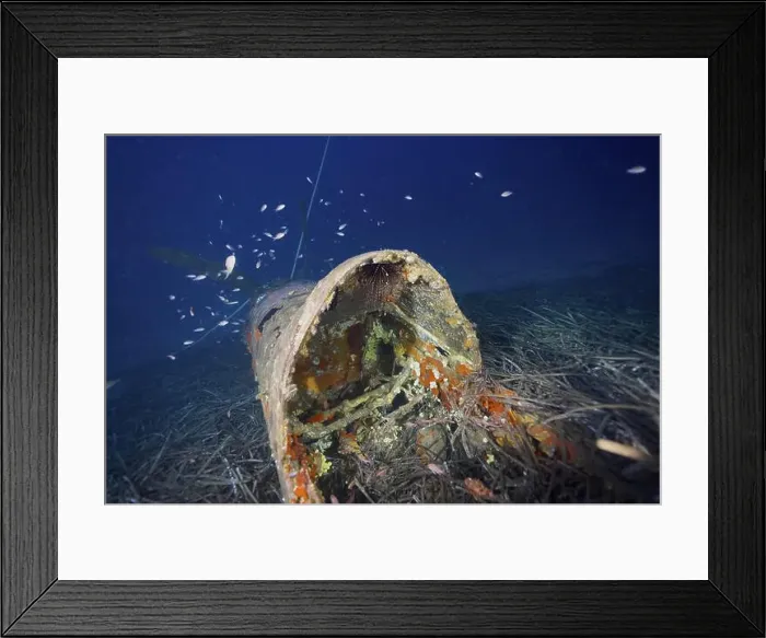 Framed Print : Rusty cockpit of a submerged aircraft wreck surrounded by seagrass