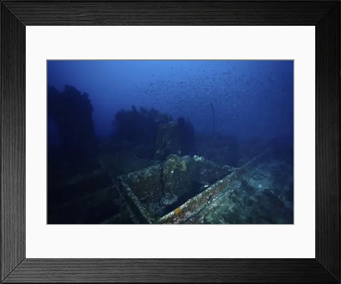 Framed Print : Abandoned shipwreck on the seabed Framed Print : Abandoned shipwreck on the seabed