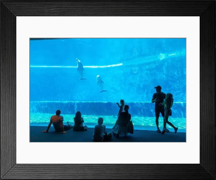 Framed Print : Aquarium of Genoa, Liguria, Italy, Europe Framed Print : Aquarium of Genoa, Liguria, Italy, Europe