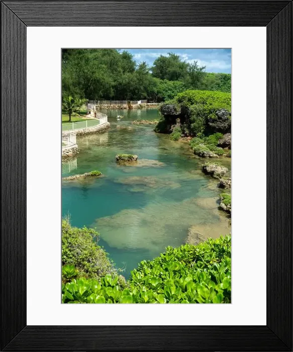 Framed Print : Snorkeling adventure in Inalåhan waters, Guam with vibrant marine life and clear blue skies Framed Print : Snorkeling adventure in Inalåhan waters, Guam with vibrant marine life and clear blue skies