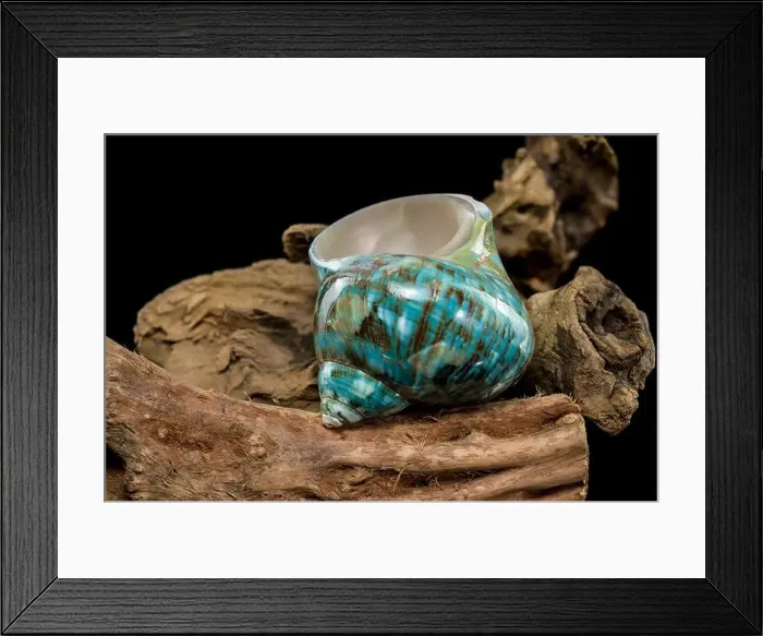 Framed Print : A vibrant turquoise nautilus shell with swirling brown and white patterns Framed Print : A vibrant turquoise nautilus shell with swirling brown and white patterns