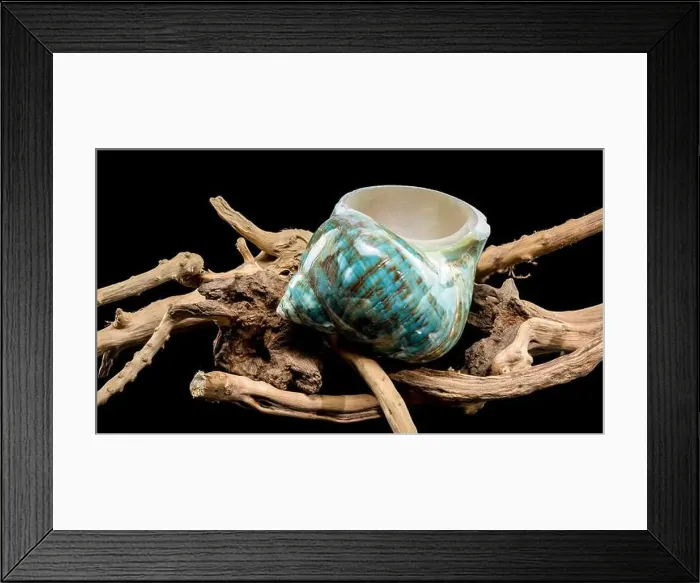 Framed Print : A vibrant turquoise nautilus shell with swirling brown and white patterns Framed Print : A vibrant turquoise nautilus shell with swirling brown and white patterns