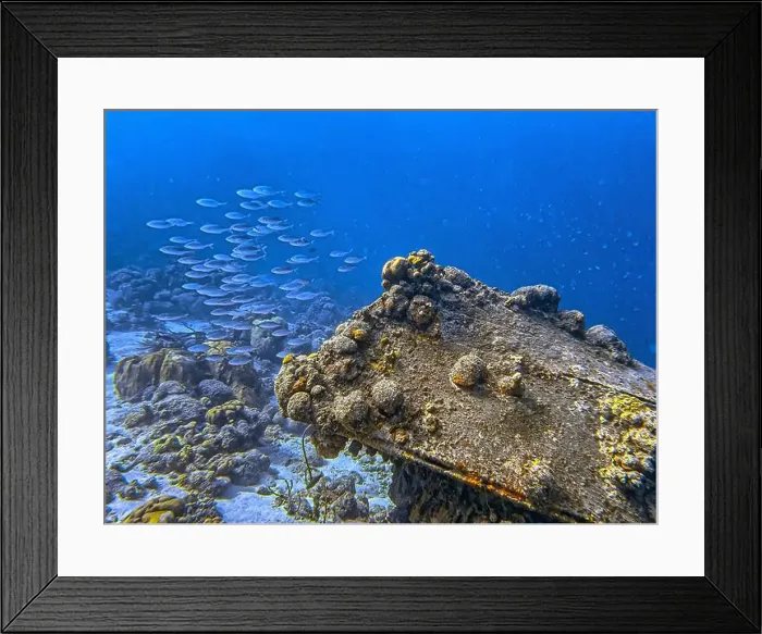 Framed Print : Caribbean coral reef off the coast of the island of Bonaire in summer Framed Print : Caribbean coral reef off the coast of the island of Bonaire in summer