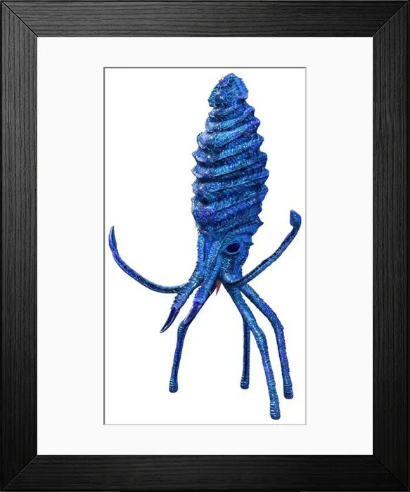 Framed Print : 3D rendering of a blue squid isolated on white background Framed Print : 3D rendering of a blue squid isolated on white background