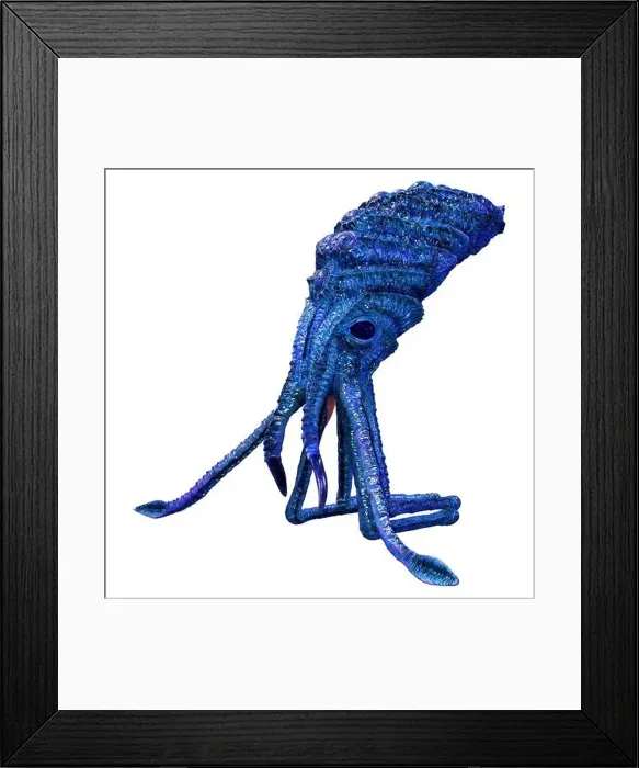 Framed Print : 3D rendering of a blue squid isolated on white background Framed Print : 3D rendering of a blue squid isolated on white background