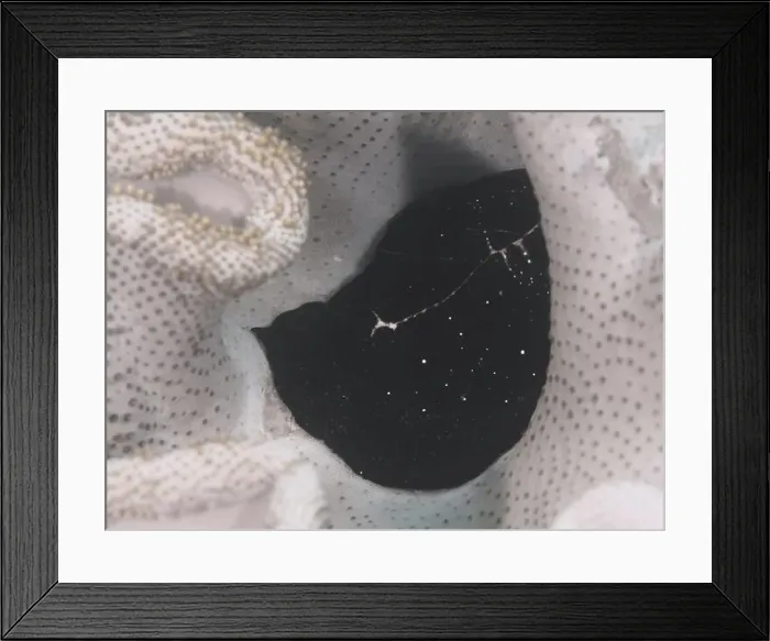 Framed Print : Black creature with light spots Framed Print : Black creature with light spots