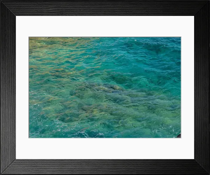 Framed Print : Sunlight dances on the turquoise water, showcasing the lively underwater world filled with colorful sea creatures Framed Print : Sunlight dances on the turquoise water, showcasing the lively underwater world filled with colorful sea creatures