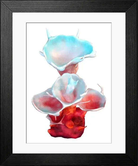 Framed Print : 3D rendering of a red clathrata coral isolated on white background Framed Print : 3D rendering of a red clathrata coral isolated on white background