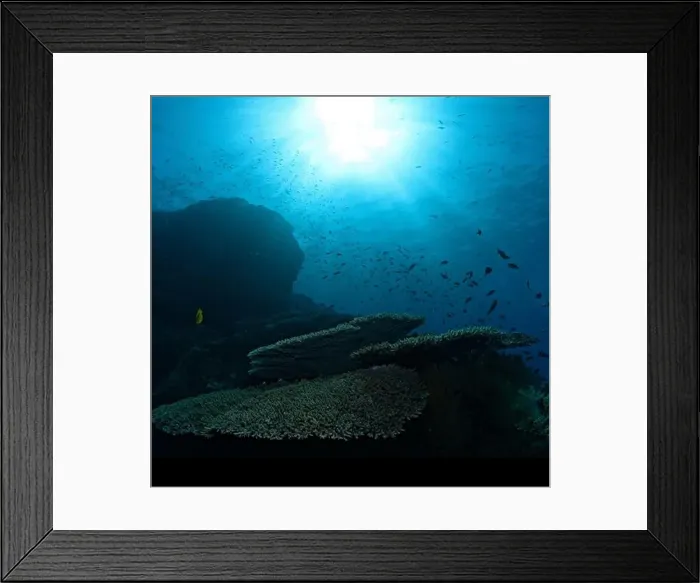 Framed Print : Reef view with table corals and sun ball Framed Print : Reef view with table corals and sun ball