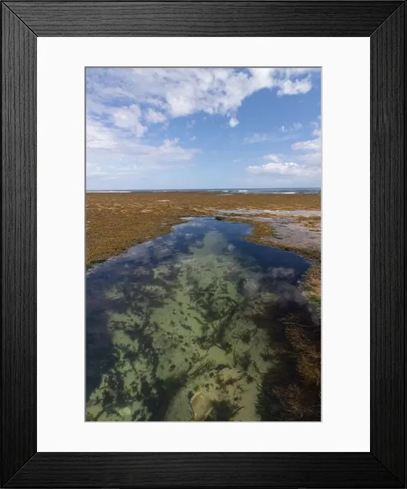 Framed Print : Crystal-clear tidal pool reflecting sky with seaweed