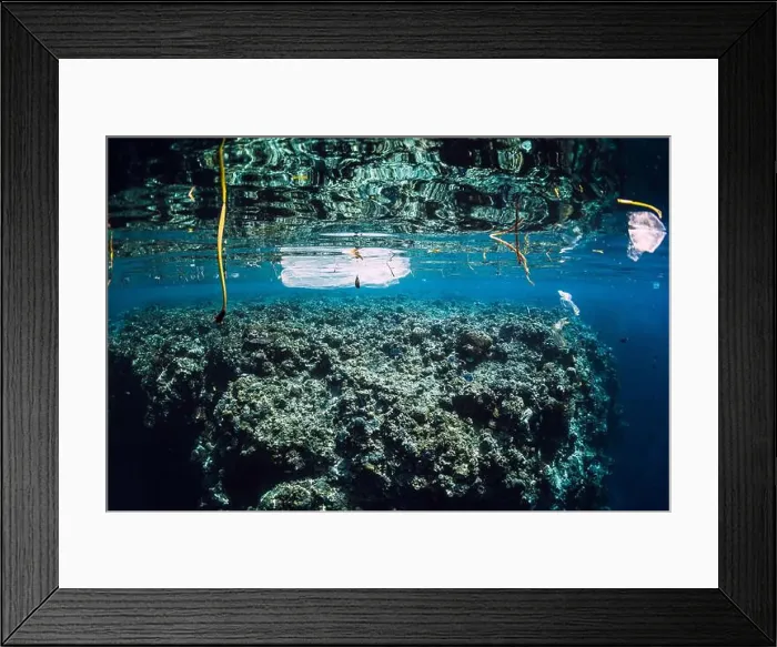 Framed Print : Underwater ocean with plastic and plastic bags, ecological problem