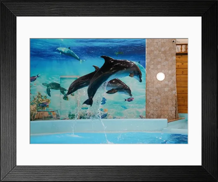 Framed Print : Graceful Dolphins Breaching in a Vibrant Underwater Scene with Marine Life Mural Framed Print : Graceful Dolphins Breaching in a Vibrant Underwater Scene with Marine Life Mural