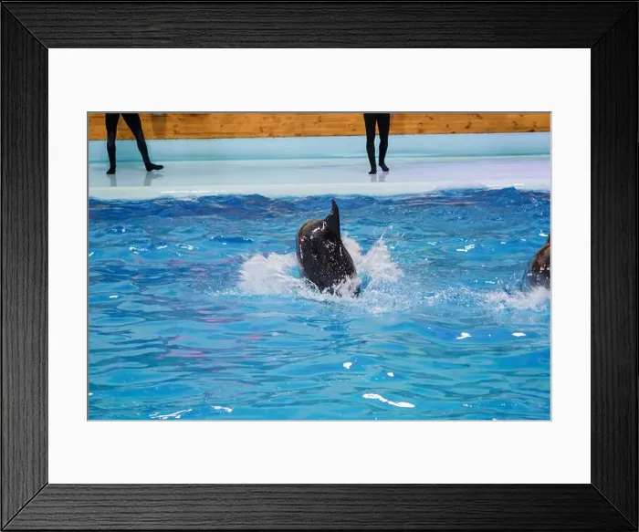 Framed Print : Playful Dolphins Leaping in a Bright Aquatic Environment Framed Print : Playful Dolphins Leaping in a Bright Aquatic Environment