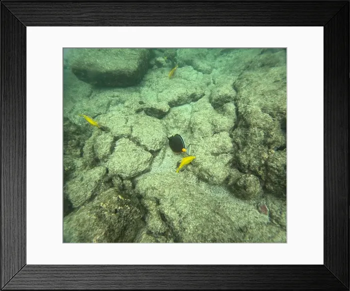 Framed Print : Shallow sea, big stones with fish Framed Print : Shallow sea, big stones with fish