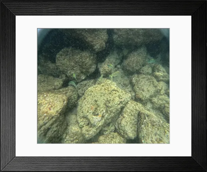 Framed Print : Under water at Poipu beach in Kauai, Hawaii, USA Framed Print : Under water at Poipu beach in Kauai, Hawaii, USA
