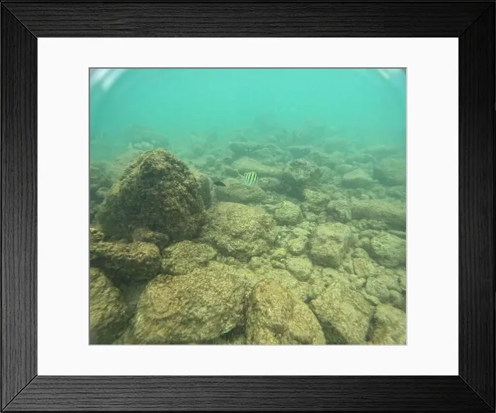 Framed Print : Under water at Poipu beach in Kauai, Hawaii, USA Framed Print : Under water at Poipu beach in Kauai, Hawaii, USA