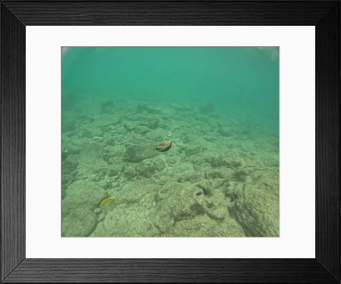 Framed Print : Shallow sea, big stones with fish Framed Print : Shallow sea, big stones with fish