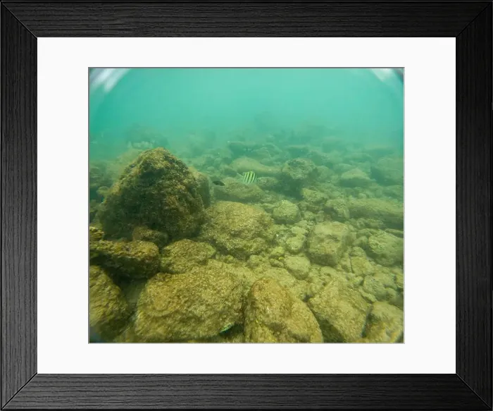 Framed Print : Under water at Poipu beach in Kauai, Hawaii, USA