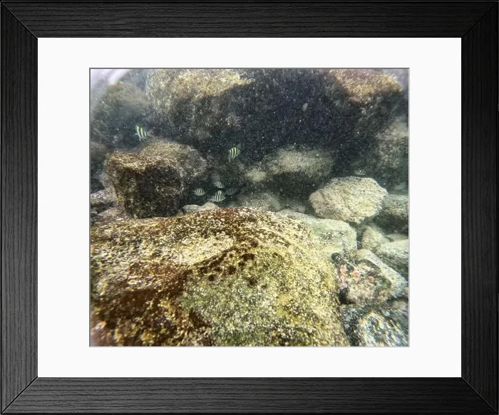 Framed Print : Shallow sea, big stones with fish Framed Print : Shallow sea, big stones with fish