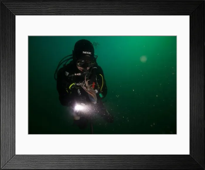 Framed Print : Scuba diver encounter with octopus Framed Print : Scuba diver encounter with octopus