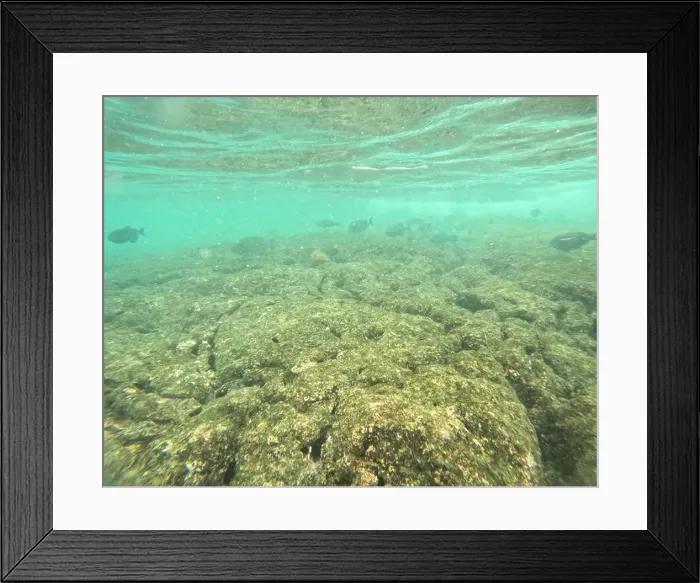 Framed Print : Shallow sea, big stones with fish Framed Print : Shallow sea, big stones with fish