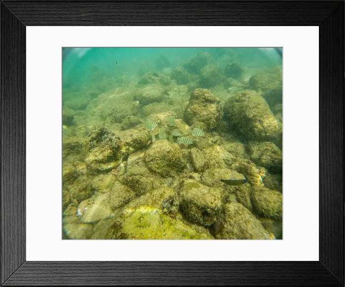 Framed Print : Under water at Poipu beach in Kauai, Hawaii, USA Framed Print : Under water at Poipu beach in Kauai, Hawaii, USA