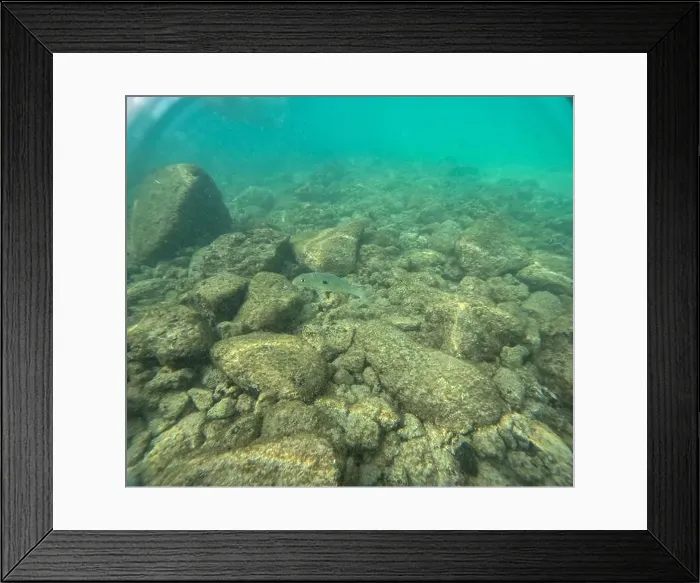 Framed Print : Under water at Poipu beach in Kauai, Hawaii, USA Framed Print : Under water at Poipu beach in Kauai, Hawaii, USA