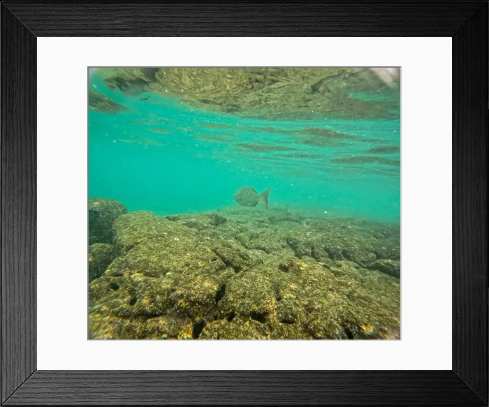Framed Print : Shallow sea, big stones with fish Framed Print : Shallow sea, big stones with fish