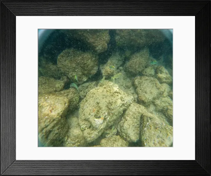 Framed Print : Under water at Poipu beach in Kauai, Hawaii, USA Framed Print : Under water at Poipu beach in Kauai, Hawaii, USA