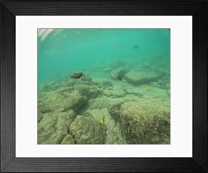Framed Print : Shallow sea, big stones with fish Framed Print : Shallow sea, big stones with fish