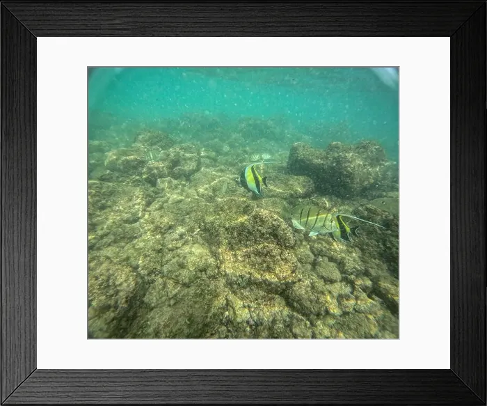 Framed Print : Under water at Poipu beach in Kauai, Hawaii, USA Framed Print : Under water at Poipu beach in Kauai, Hawaii, USA