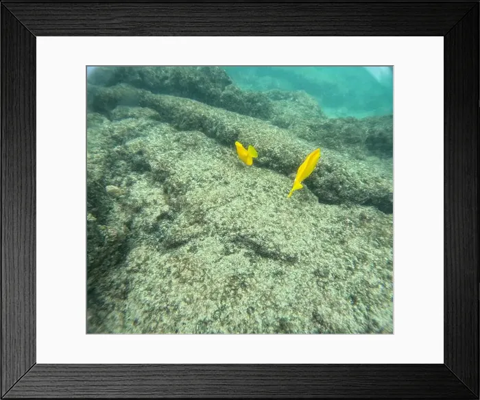 Framed Print : Shallow sea, big stones with fish Framed Print : Shallow sea, big stones with fish