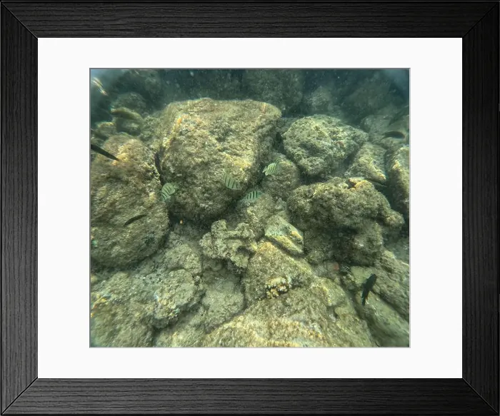Framed Print : Under water at Poipu beach in Kauai, Hawaii, USA Framed Print : Under water at Poipu beach in Kauai, Hawaii, USA