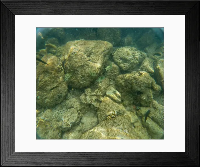 Framed Print : Under water at Poipu beach in Kauai, Hawaii, USA Framed Print : Under water at Poipu beach in Kauai, Hawaii, USA