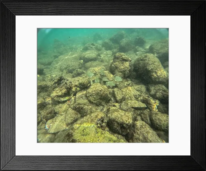 Framed Print : Under water at Poipu beach in Kauai, Hawaii, USA Framed Print : Under water at Poipu beach in Kauai, Hawaii, USA