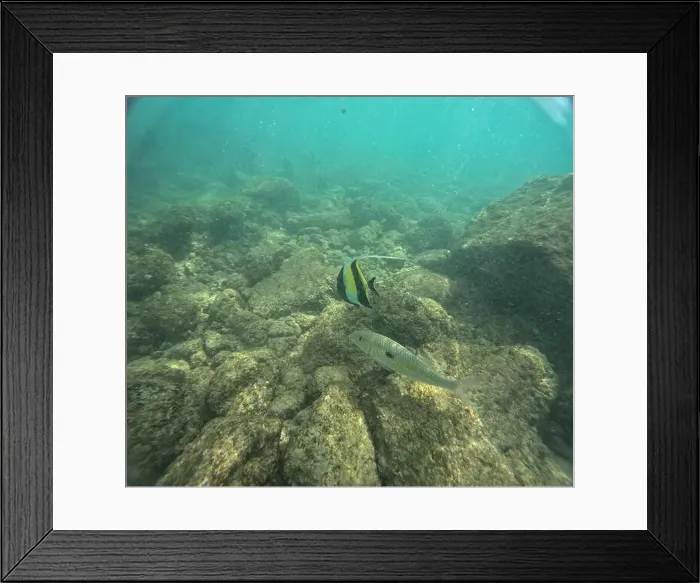 Framed Print : Under water at Poipu beach in Kauai, Hawaii, USA Framed Print : Under water at Poipu beach in Kauai, Hawaii, USA